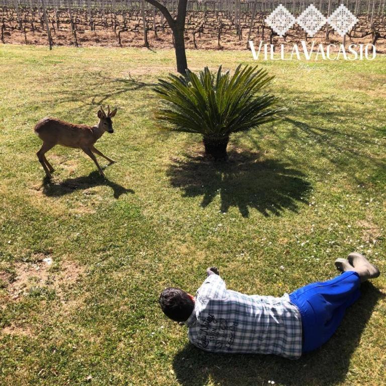 פיטיליאנו Agriturismo Eco-Bio Villa Vacasio מראה חיצוני תמונה